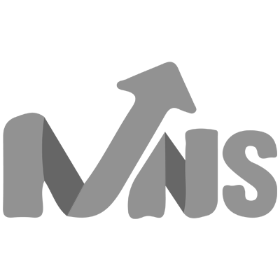 mns digital flip dark logo
